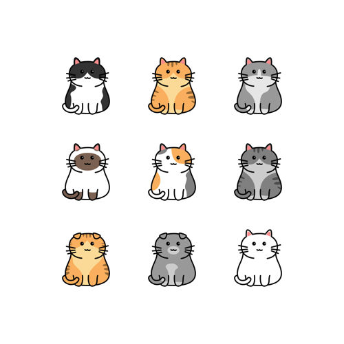 猫咪疫苗过敏怎么办:宠物护理指南